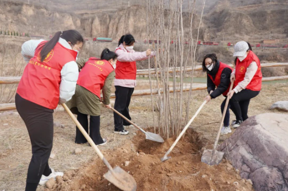 微信截图_20230312155057.png