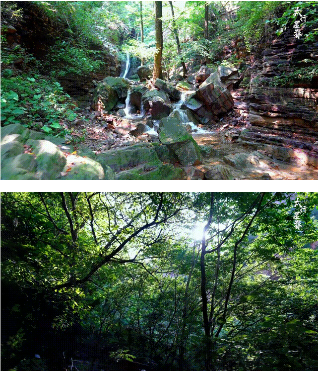 ScreenShot_2025-10-29_085102_434