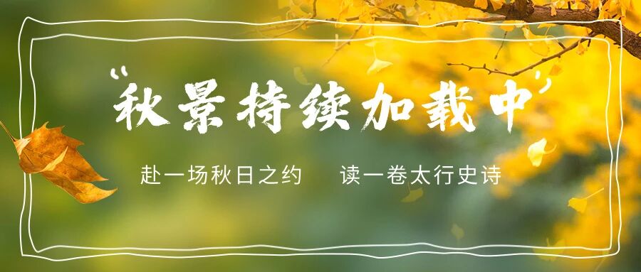 微信图片_2025-10-31_095356_042