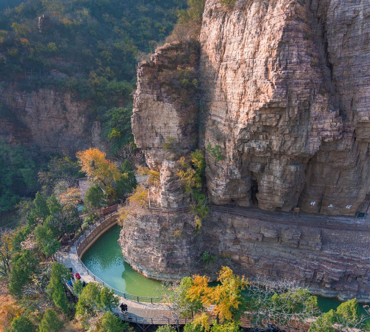 微信图片_2025-10-31_100049_711