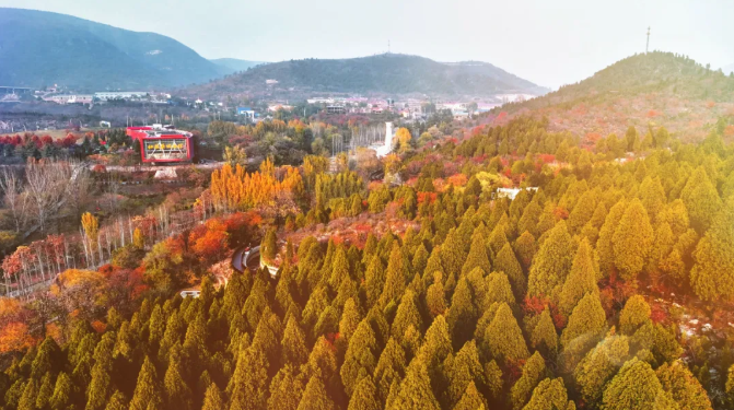 ScreenShot_2025-11-13_153003_758