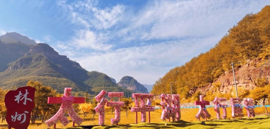 微信图片_2025-11-13_154602_522