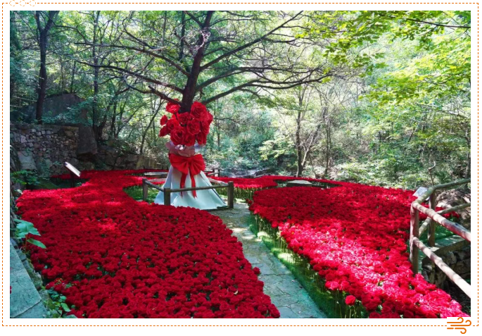 ScreenShot_2025-11-13_155739_026