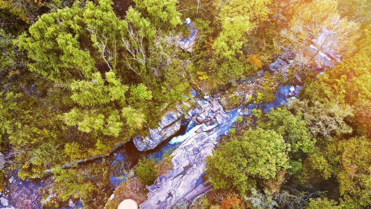 微信图片_2025-12-10_154751_103