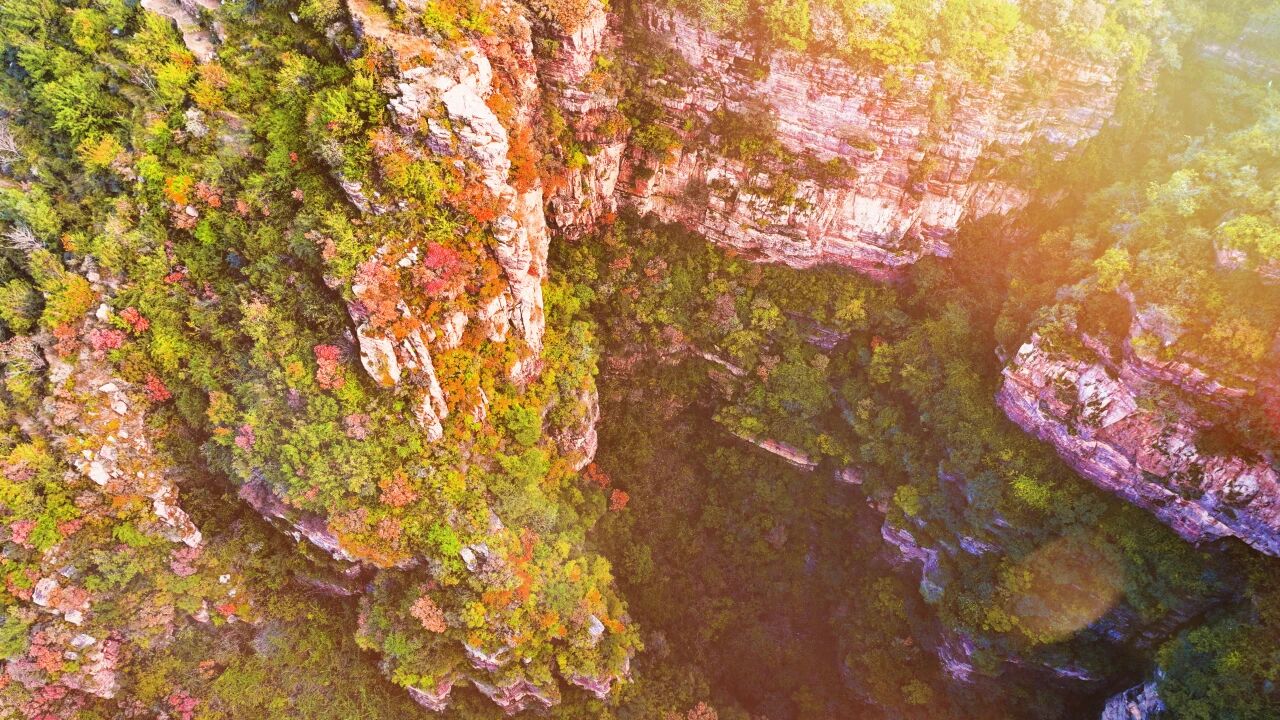 微信图片_2025-12-10_154801_175