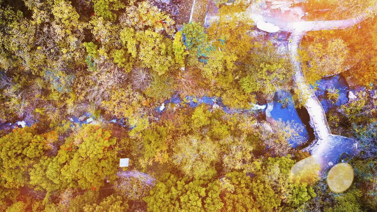 微信图片_2025-12-10_154805_328