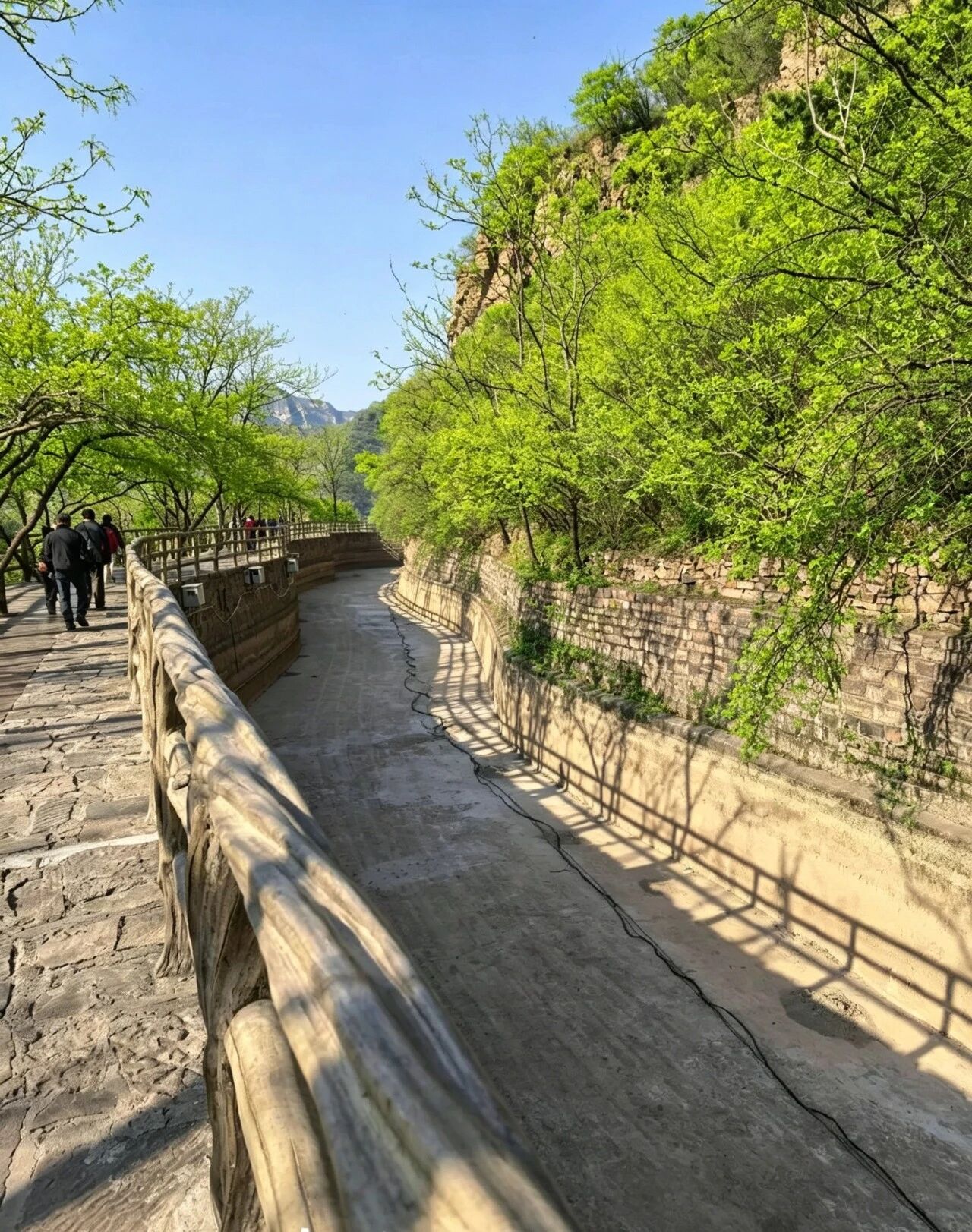 微信图片_2026-04-15_150825_592