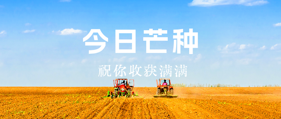 今日芒种 | 愿你“芒”有所获，“种”有所得！